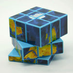 Rubik's cube miroir Planète Terre
